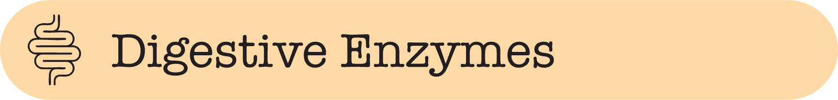Digestive Enzymes